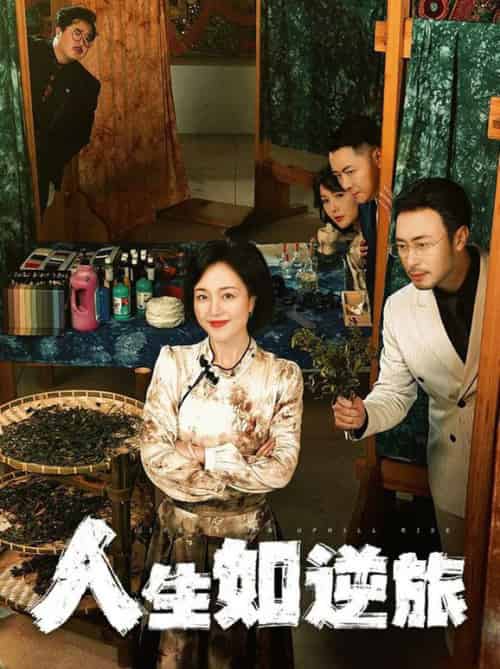 人生如逆旅(54集全)罗雪琼-初遇资源网