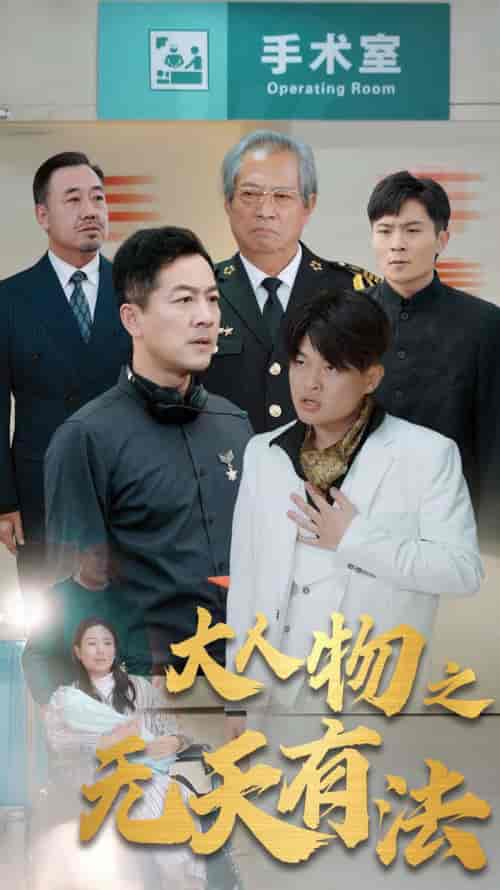 新大人物之无天有法(35集全)-初遇资源网