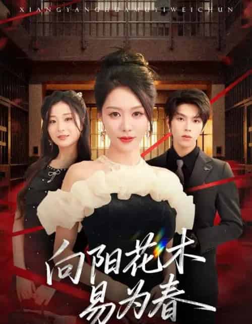 新：向阳花木易为春（72集全）钟莹玲＆向帅-初遇资源网