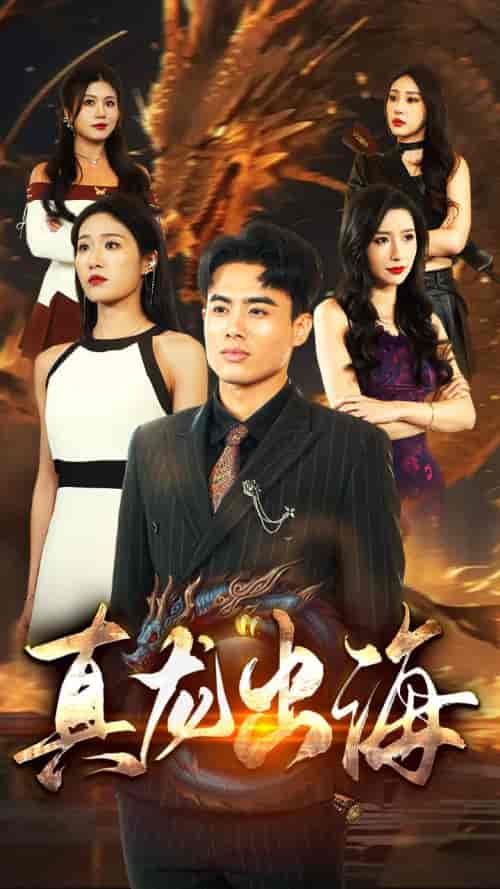 真龙出海（80集）宋楠-初遇资源网