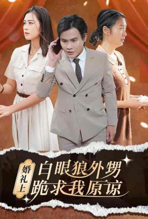 婚礼上白眼狼外甥跪求我原谅(35集全)-初遇资源网