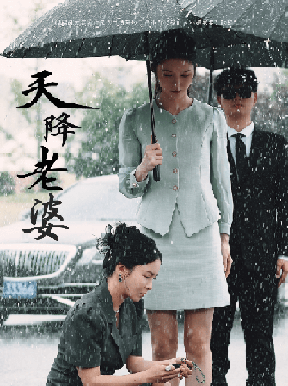 天降老婆（81集全）李若希-初遇资源网