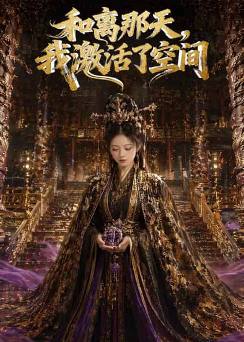 和离那天,我激活了空间 和离那天,我激活了空间