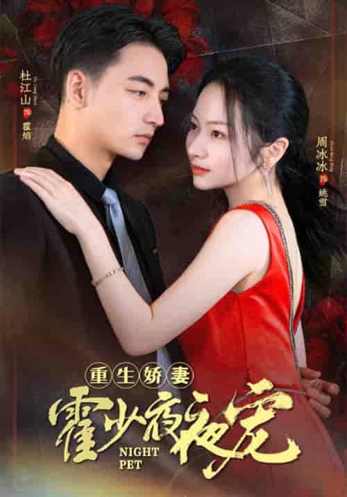 重生娇妻霍少夜夜宠（82集）霍焰＆姚雪-初遇资源网