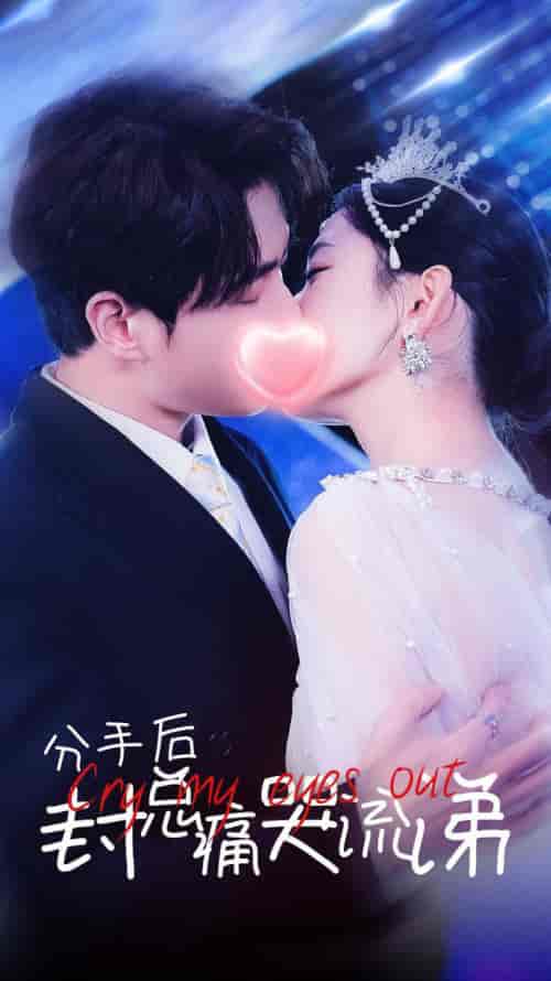 分手后封总痛哭流涕（64集全）-初遇资源网