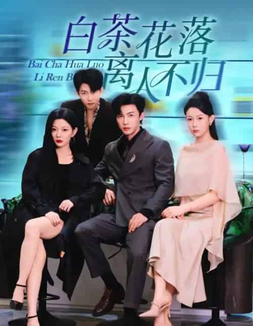 白茶花落离人不归（51集全）沈国洋＆林初-初遇资源网