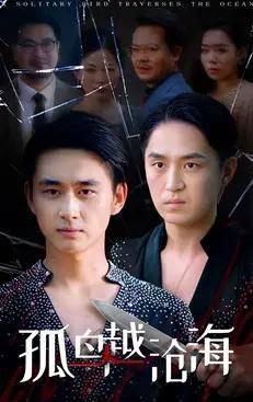 孤鸟越沧海 （60集全） 陈柄希＆张梦薇-初遇资源网