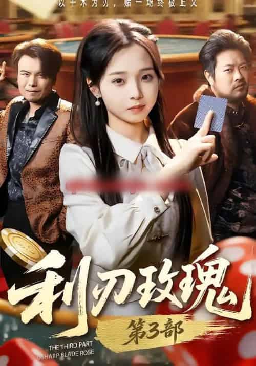利刃玫瑰第3部（62集全）闫书毅＆陈舒宜-初遇资源网