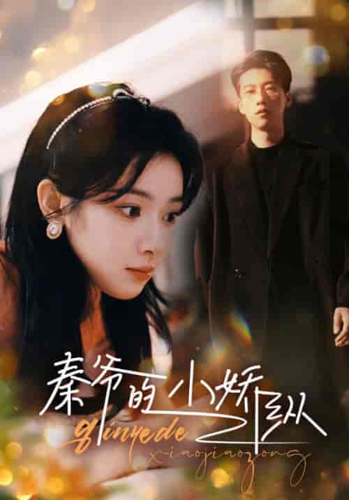 秦爷的小娇纵（96集）-初遇资源网