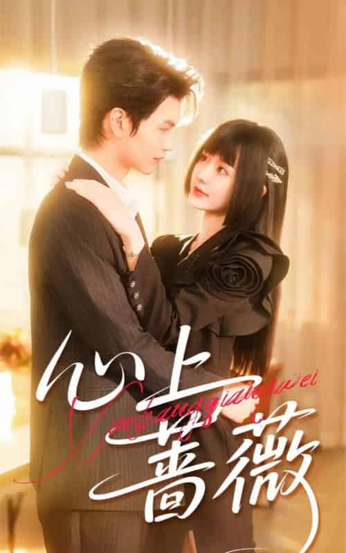 心上蔷薇（100集全）张嘉松＆刘安歌-初遇资源网