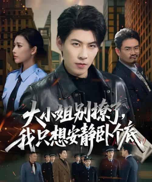 大小姐别撩了，我只想安静卧个底（80集全）乔婉宁＆王为洋-初遇资源网