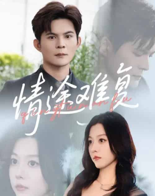 情途难复(50集)李金金&祈乐-初遇资源网