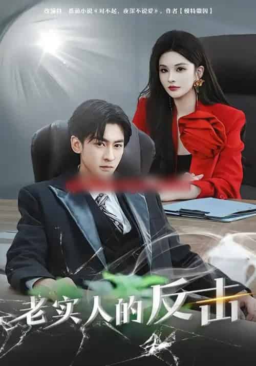 老实人的反击（80集全）李源丰＆彭晏茹-初遇资源网
