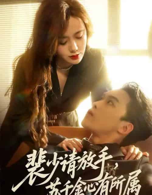 裴少请放手，苏千金心有所属（77集全）高张博＆张新涵-初遇资源网