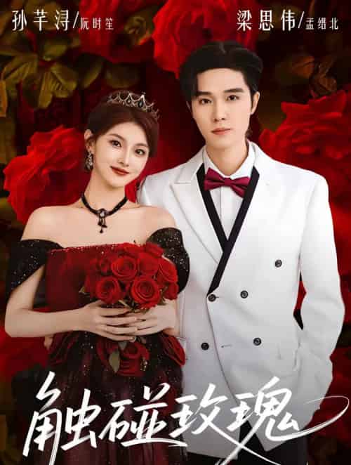 触碰玫瑰(80集全)梁思伟&孙芊浔-初遇资源网