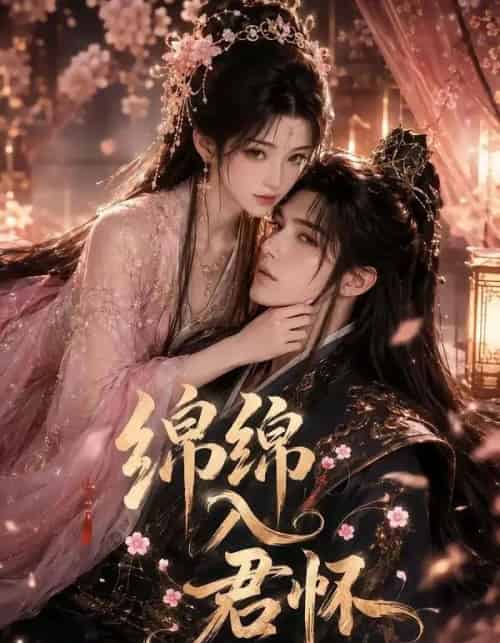 绵绵入君怀 绵绵入君怀