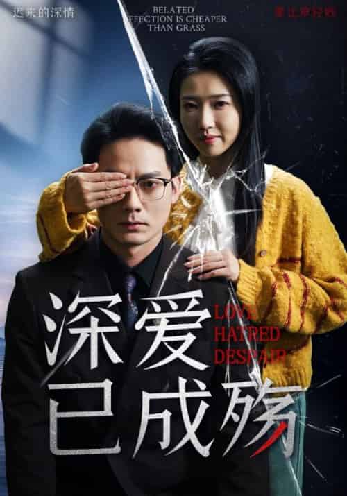 深爱已成殇（52集全）程泽章＆张启璇-初遇资源网