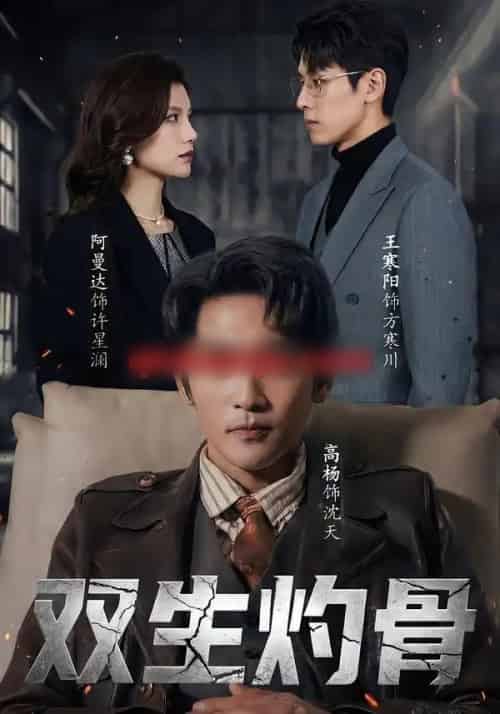 双生灼骨（60集全）王寒阳＆阿曼达＆高杨-初遇资源网