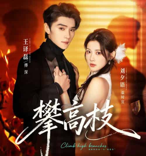攀高枝（70集全）王译磊＆刘夕语-初遇资源网