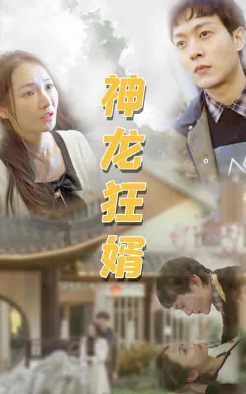 神龙狂婿-96集-初遇资源网