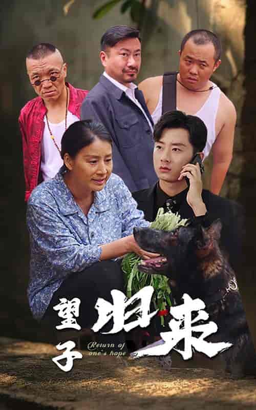 望子归来（50集全）-初遇资源网