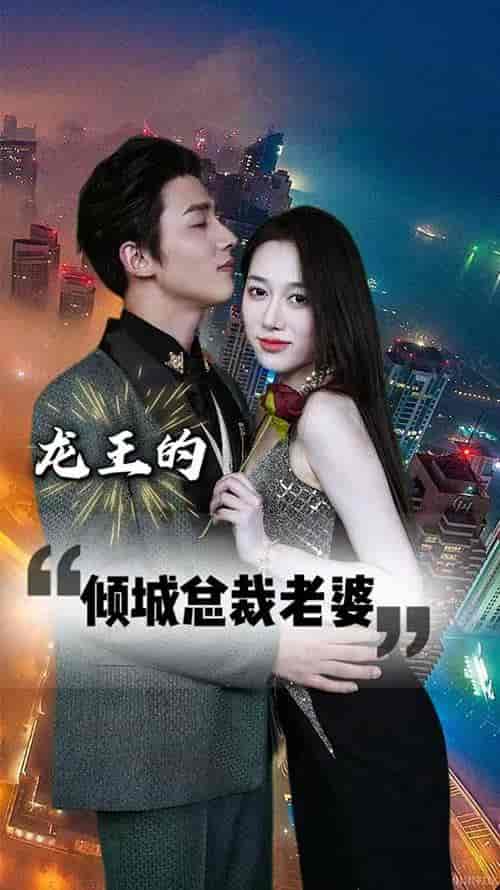 龙王的倾城总裁老婆(97集)-初遇资源网
