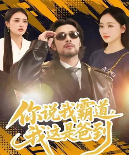 你说我霸道,我这是爸到(70集全)吴鑫尊&席文君-初遇资源网