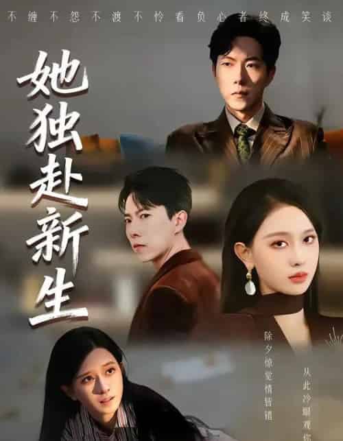 她独赴新生（64集全）陈一孚＆高钊宇-初遇资源网