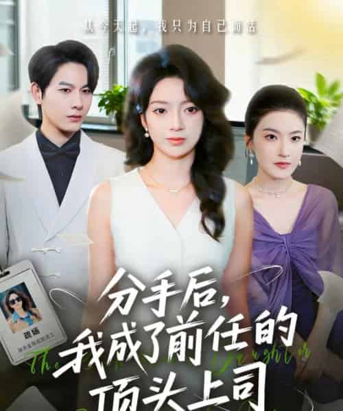 分手后我成了前任的顶头上司（75集全）柏宇豪＆张铭文-初遇资源网