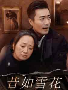 昔如雪花(30集全)-初遇资源网