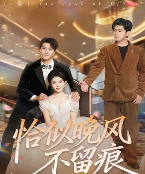 恰似晚风不留痕（61集全）田不凡＆孔莹莹-初遇资源网