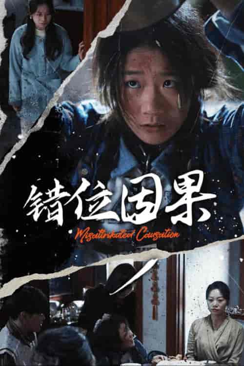 错位因果(40集全)-初遇资源网