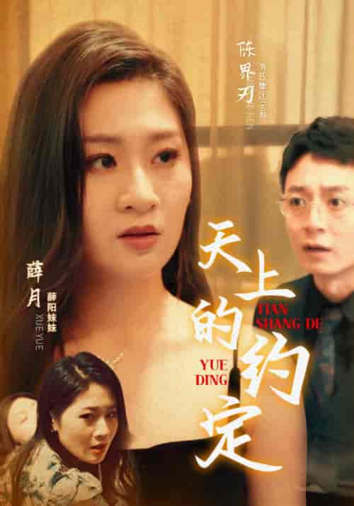 天上的约定(24集)-初遇资源网