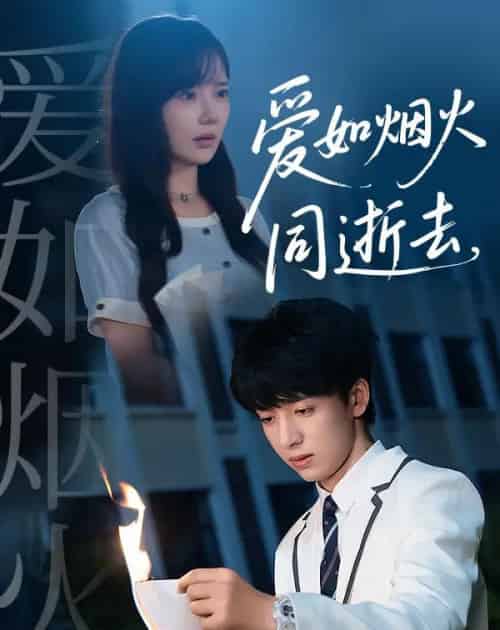 爱如烟火同逝去（51集全）金大钟＆常文景-初遇资源网