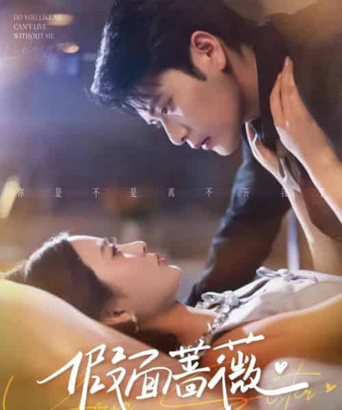 假面蔷薇(62集全)张志伟&刘美娜-初遇资源网