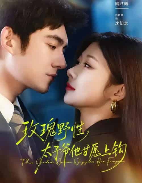 玫瑰野性,太子爷他甘愿上钩(82集全)马浩东&孙妍恩-初遇资源网