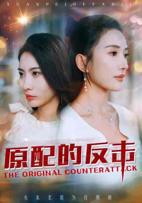 原配的反击（38集全）顾羡诚＆季宁心-初遇资源网