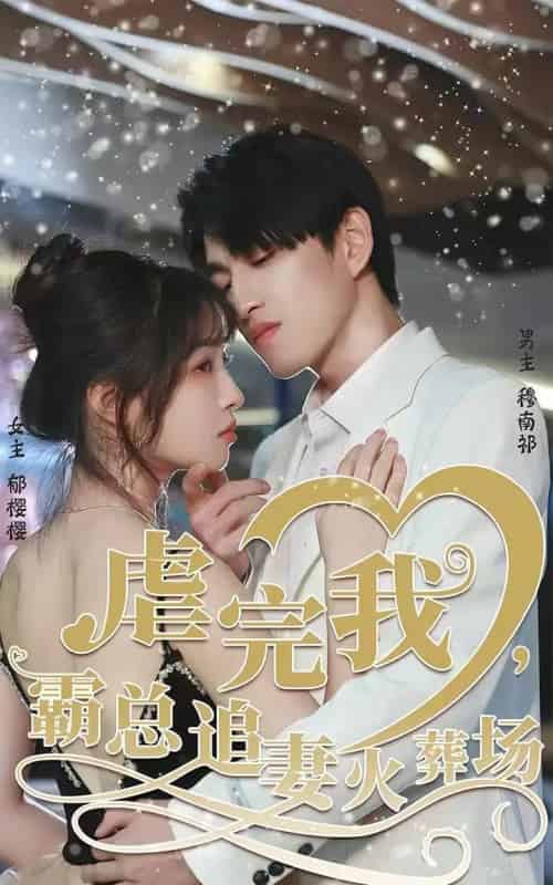 转身离开后＆虐完我，霸总追妻火葬场（103集全）林可汉＆陆元-初遇资源网