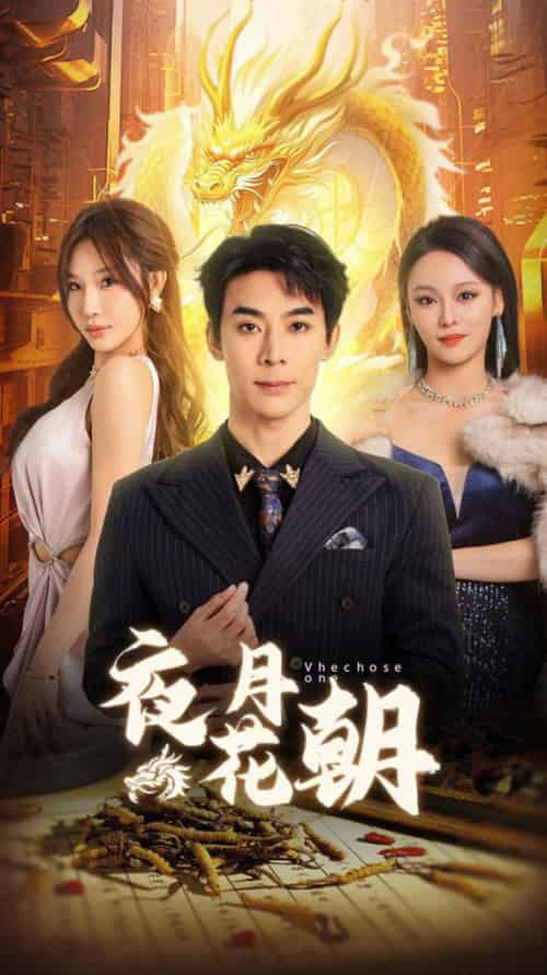 夜月花朝（30集全）-初遇资源网