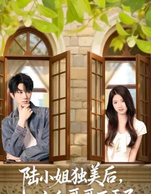 陆小姐独美后六个哥哥不干了（84集全）钊宏＆高洁慧 - 夸克短剧