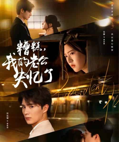 糟糕我的老公失忆了（80集全）刘辰锦＆左馨-初遇资源网