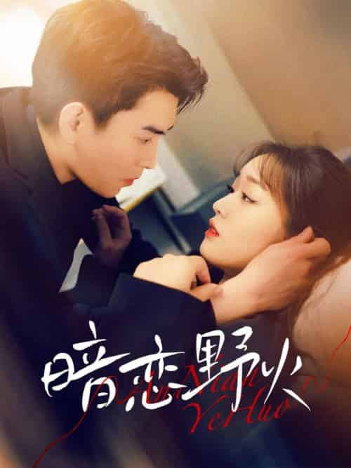 暗恋野火（75集全）石佳＆吴佳璐-初遇资源网