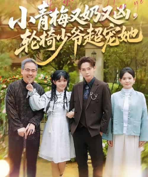 小青梅又奶又凶，轮椅少爷超宠她（90集全）王镱深＆张紫璇-初遇资源网