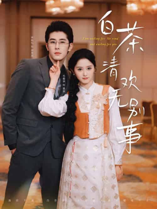 白茶清欢无别事(66集全)毛香淋-初遇资源网