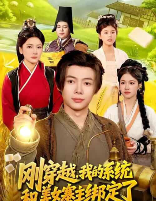 刚穿越,我的系统和美女寨主绑定了 刚穿越,我的系统和美女寨主绑定了