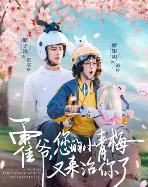 霍爷，您的小青梅又来治你了（90集全）储子竣＆廖银玥-初遇资源网