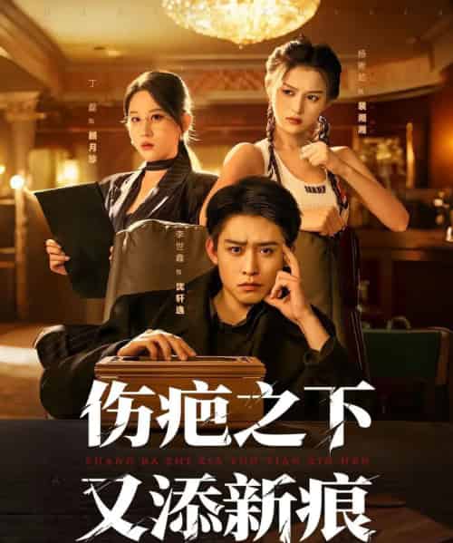 伤疤之下又添新痕（60集全）李世鑫＆丁磊-初遇资源网