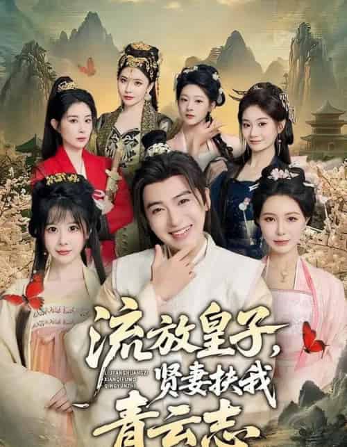 流放皇子,贤妻扶我青云志(76集全)王成&钱思怡-初遇资源网
