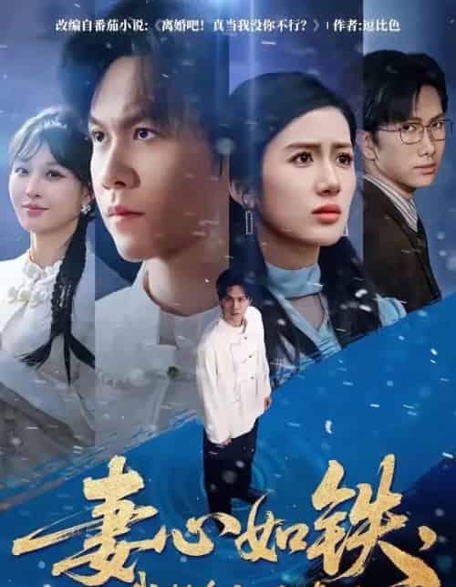 妻心如铁,我转身离婚修仙 妻心如铁,我转身离婚修仙