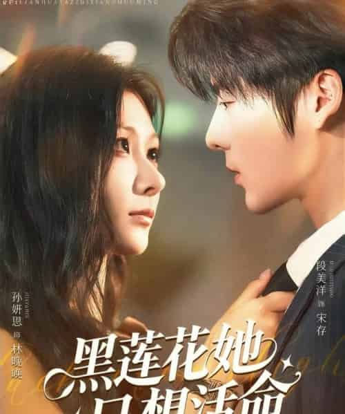 黑莲花她只想活命（60集）段美洋＆孙妍恩-初遇资源网